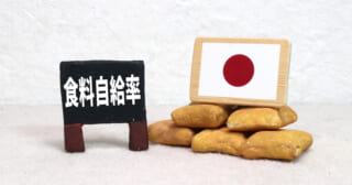 食料自給率が過去最低に！日本の食糧問題とその対策とは？