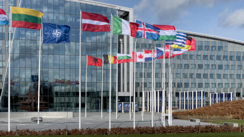 NATO加盟国の目的とアメリカの役割について解説
