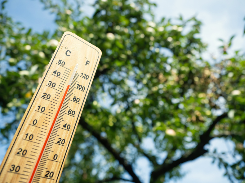 猛暑になれば株価も変わる？夏の暑さと投資の関係性を解説