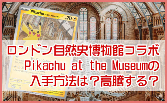 ロンドン自然史博物館プロモカードのピカチュウは高騰する？相場が急変したPikachu at the Museumポケカを検証